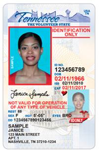 TN state ID