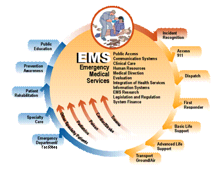 EMS diagram #2