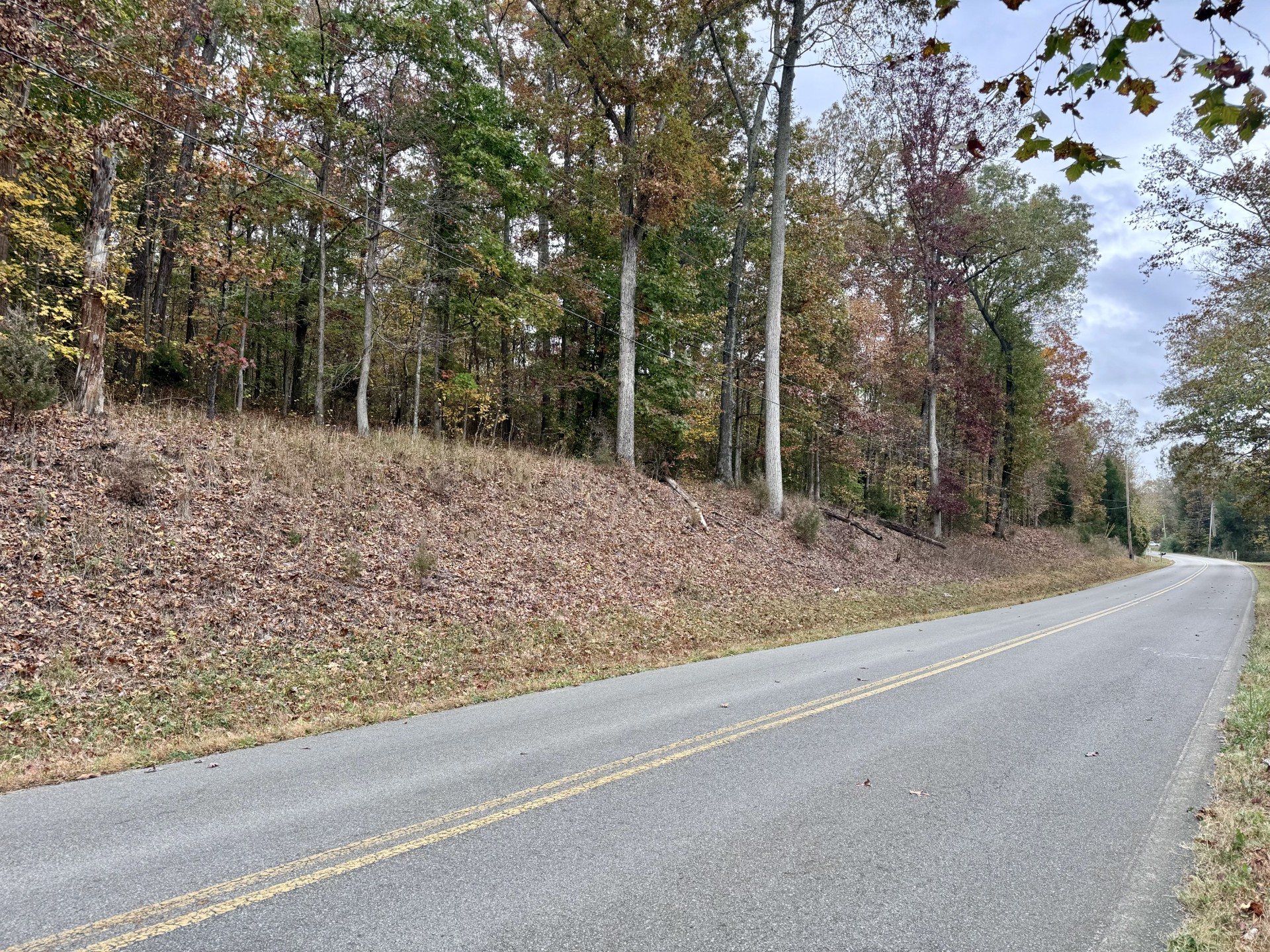 A quiet, winding road bordered by trees with autumn foliage and fallen leaves on the ground.